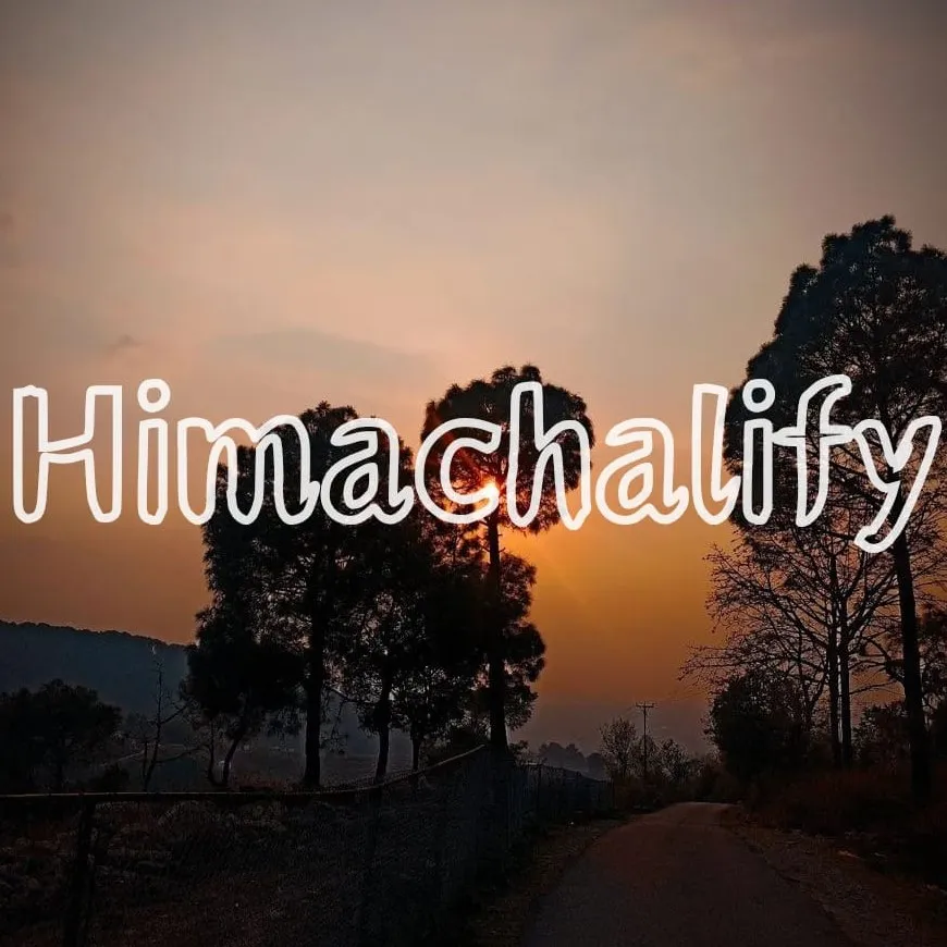 Himachalify icon