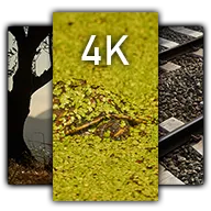 4K Photo Wallpapers icon