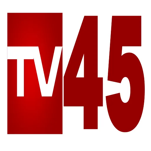 TV45 Telugu Live icon
