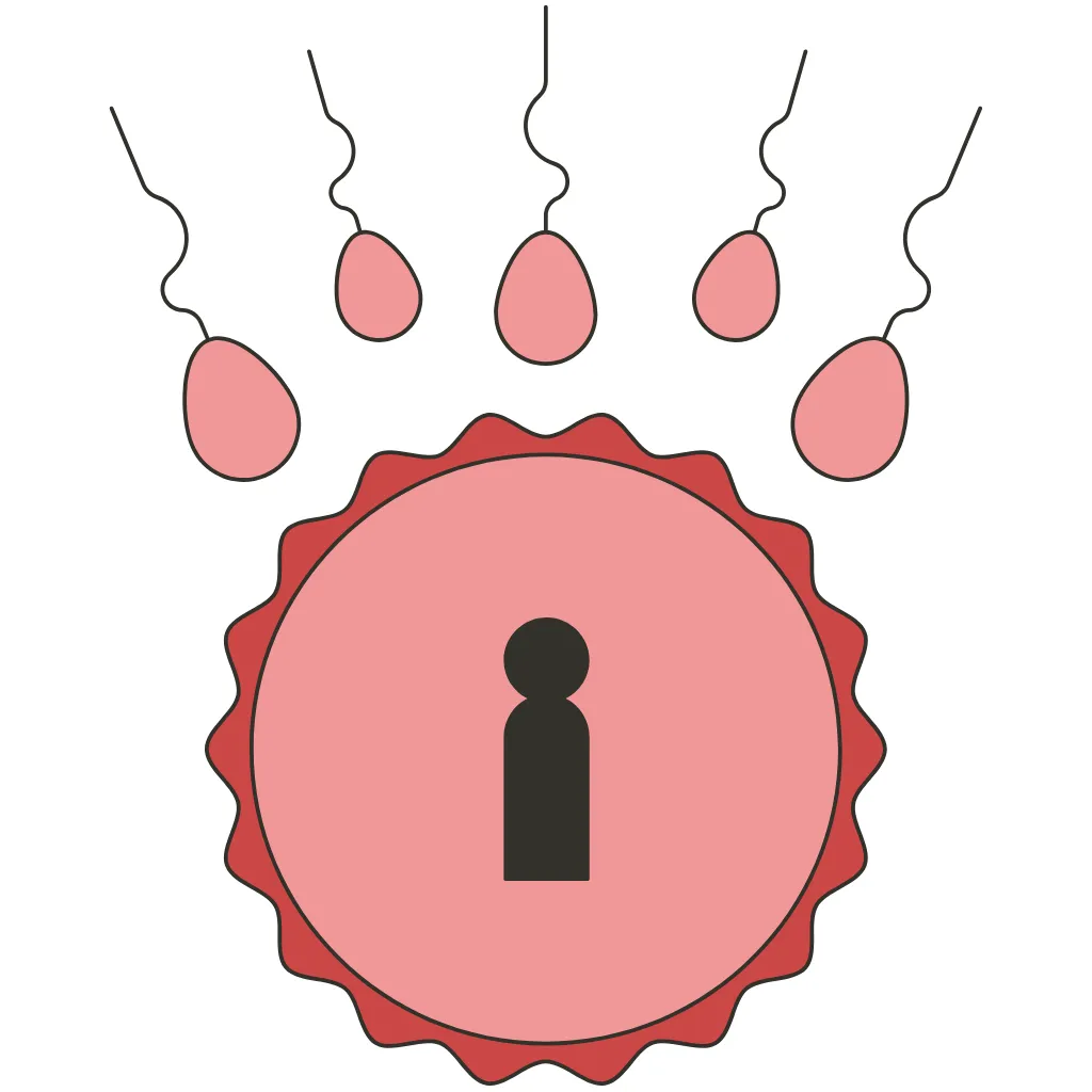Ovulation Calculator icon