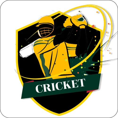 LIve Cricket Score 2024 icon