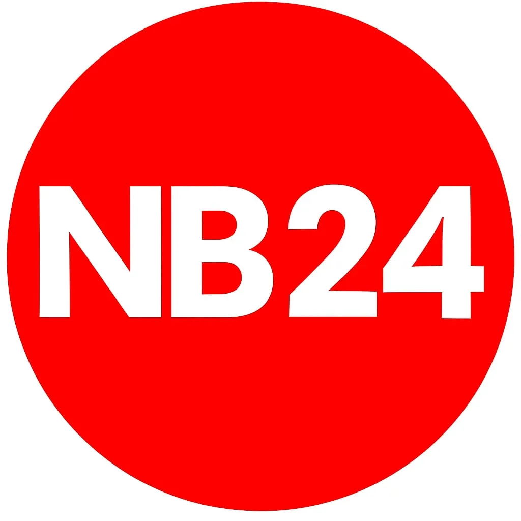 Newsbiz24 icon