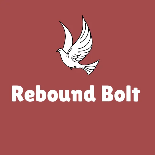 Rebound Bolt icon