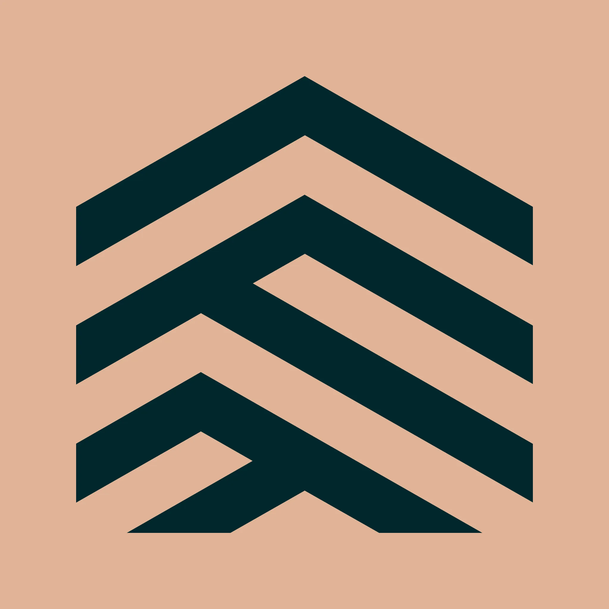 ALYF icon