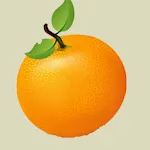 Cool Orange icon