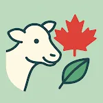 DairyAirCanada icon