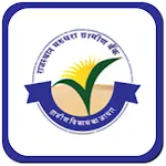 RMGB Positive Pay icon