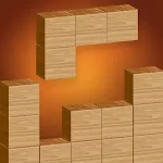 Tetrudoku : Block Puzzle icon