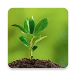Environmental Ecology icon