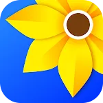 Gallery icon