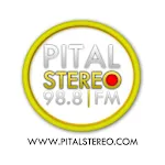 Pital Stereo icon