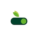 Paushtikk Switch icon