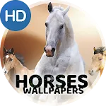 Wallpapers 4K with horses icon