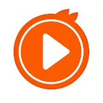 Video Player All Formats icon