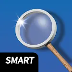 Magnifier (magnifying glass) icon