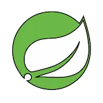 Learn Spring - Java Framework icon