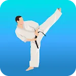 Karate Workout At Home icon