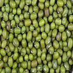 મગની વાવેતર અને ખેતી ૫ઘ્ધતિ icon