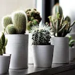 Indoor Gardens icon