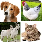 The names of the animals in Ar icon