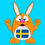Learn Swedish Language icon
