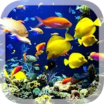 Real Aquarium Live Wallpaper icon