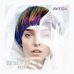 Bebe Ellis Salon icon