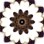 Intuitive Mandala Oracle Cards icon