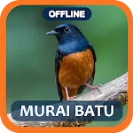 Masteran Murai Batu full isian icon