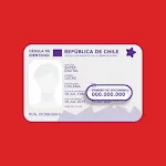 Rut Chile Personas Vehiculos icon
