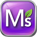 MIDAS - International company icon