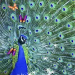 Peacock Live Wallpaper icon