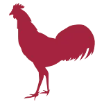 Country Chicken Co