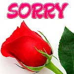 Sorry Stickers for WhatsApp icon