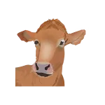 My Cattle Manager - Farm app icon