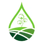 Amrut Pattern icon