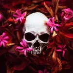Skull Wallpapers icon