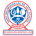 St Brijmohan lal Sr Sec School icon