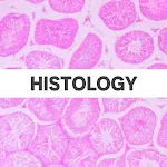 Histology: Slides,Identificati icon