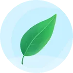 Renew Support icon