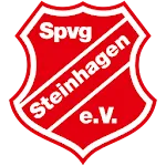 Spvg Steinhagen Handball icon