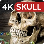 Wallpapers with Skulls 4K icon