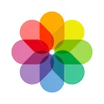 Surge Gallery - Album & Editor icon