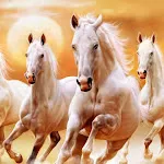 Horse Wallpaper HD icon