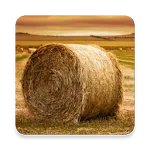 Agriculture Engineering icon