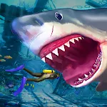 Angry Shark Games: Game 2024 icon