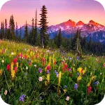 Mountain Flowers icon
