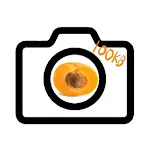 Reduce Camera Apricamera 100kb icon