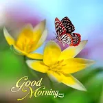 Good Morning Images APPS icon