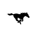Ridgeview Mustangs icon